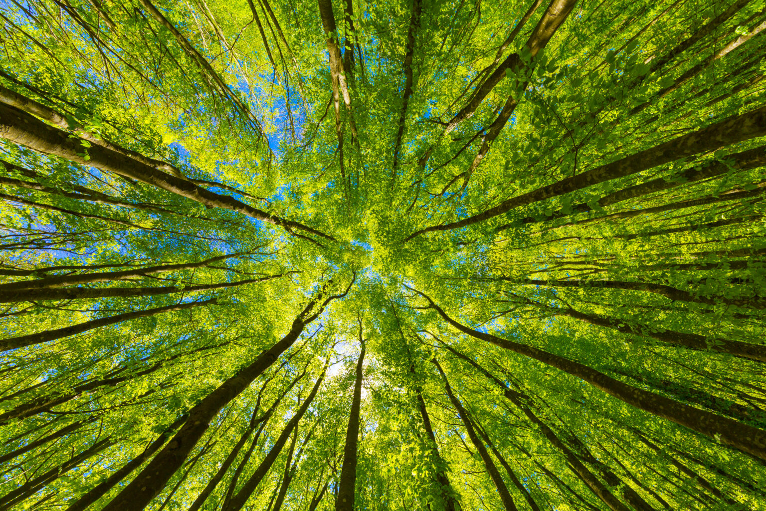 SWEN CP | A responsible investor in private markets