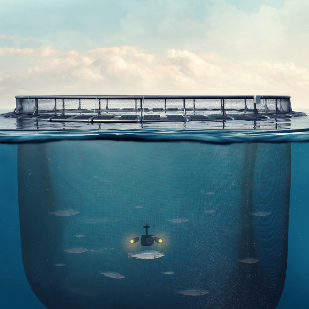 Optoscale Blue Ocean