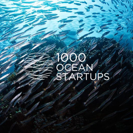 1000 Ocean Startups Blue Ocean
