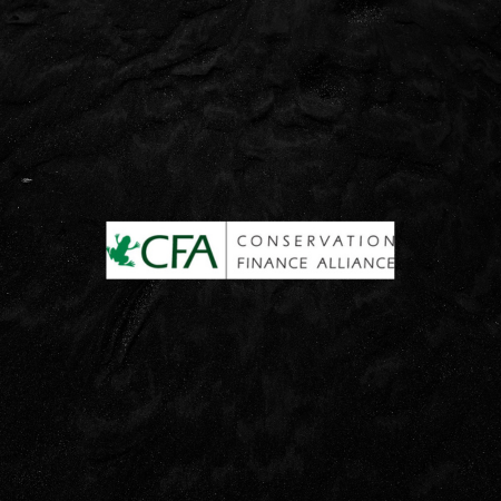 Conservation Finance Alliance Blue Ocean