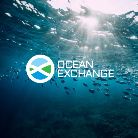 Ocean Exchange Blue Ocean