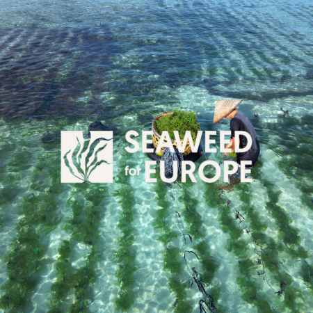 Seaweed for Europe Blue Ocean