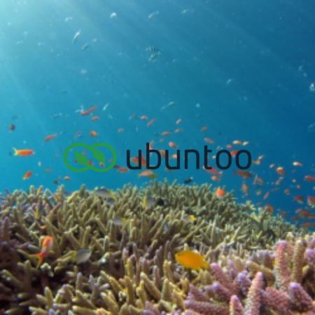 Ubuntoo Blue Ocean