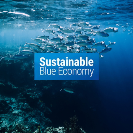 Sustainable Blue Economy Blue Ocean